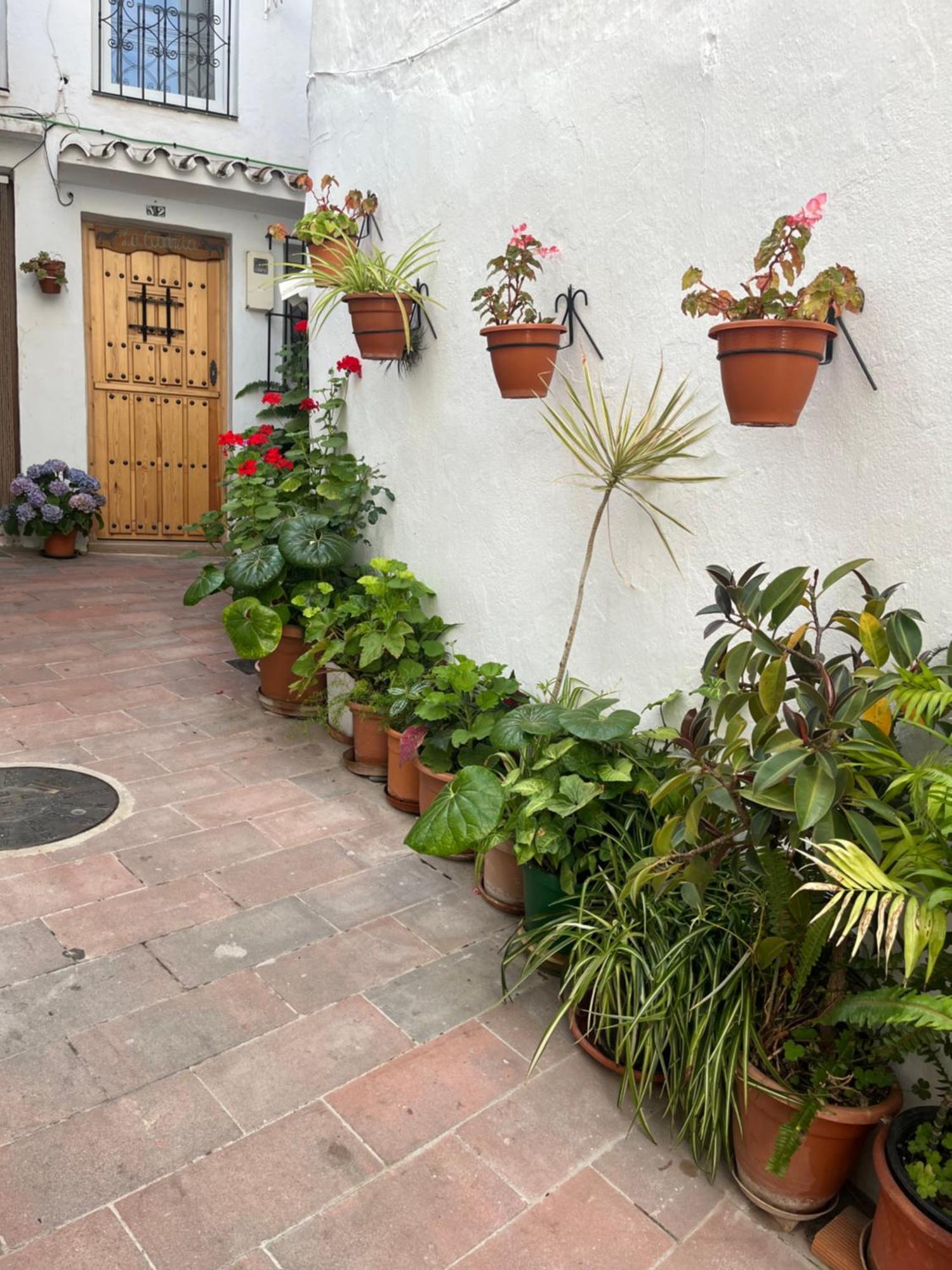 La Cuadrita Villa Casares Exterior photo
